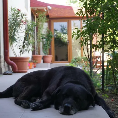 Casa Eden Pensión